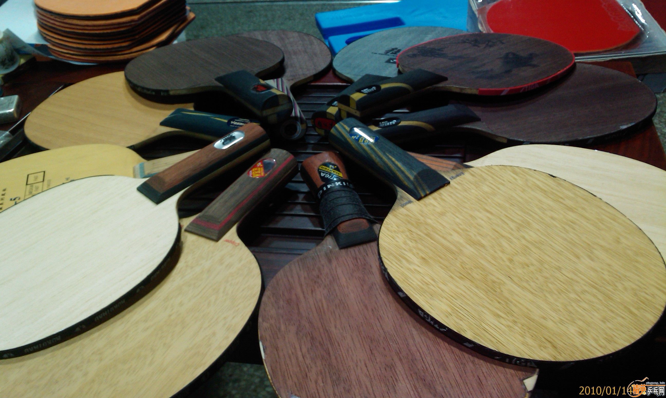 ���ƻ� 쮰���OCһֻ����˭��Ŀ죡��