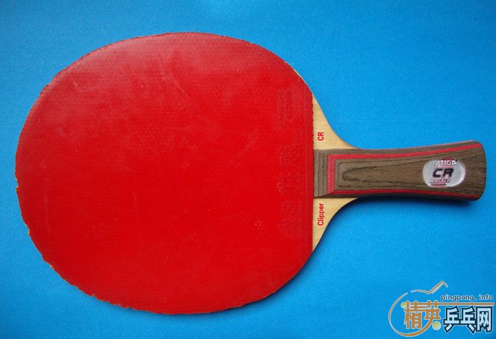 ת��9.5�� CL CR