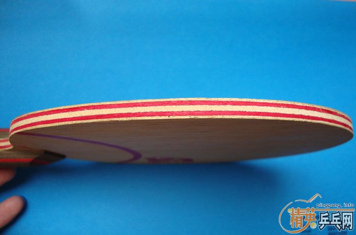 ת��9.5�� CL CR