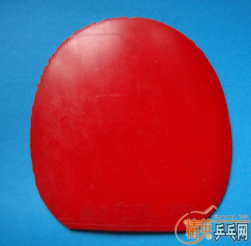 ת��9.5�� CL CR