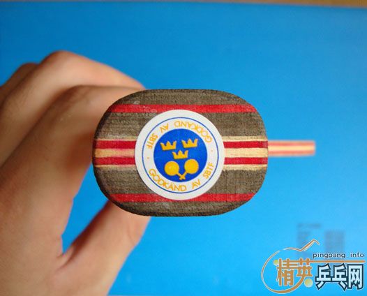 ת��9.5�� CL CR