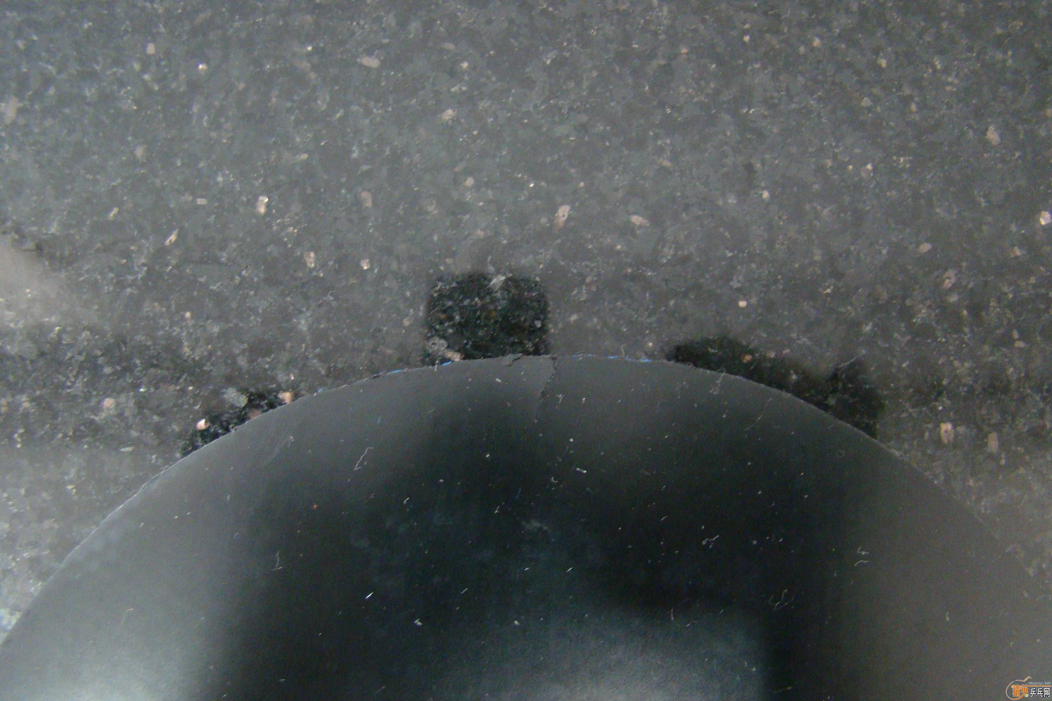 �����µ�ˮ������oc ���еĿ�����̼�� ����el��Ƥ���������켫3