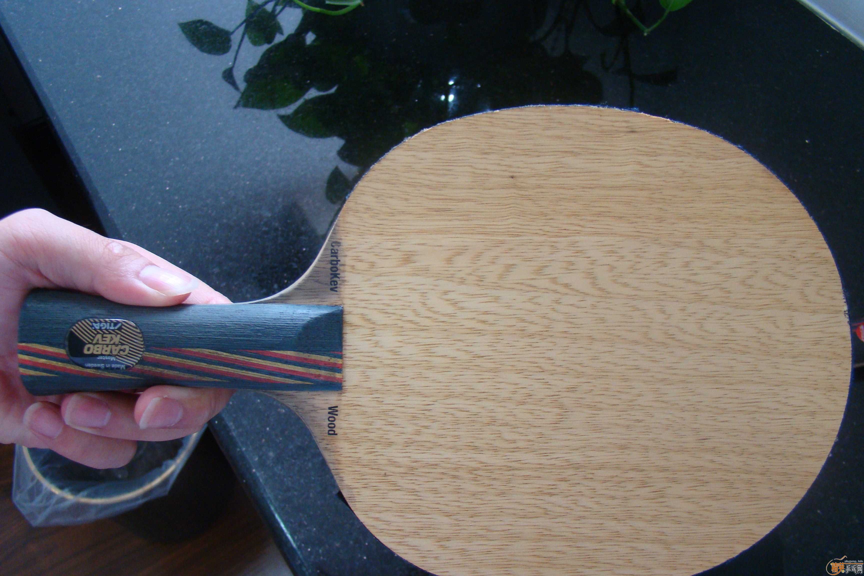 �����µ�ˮ������oc ���еĿ�����̼�� ����el��Ƥ���������켫3