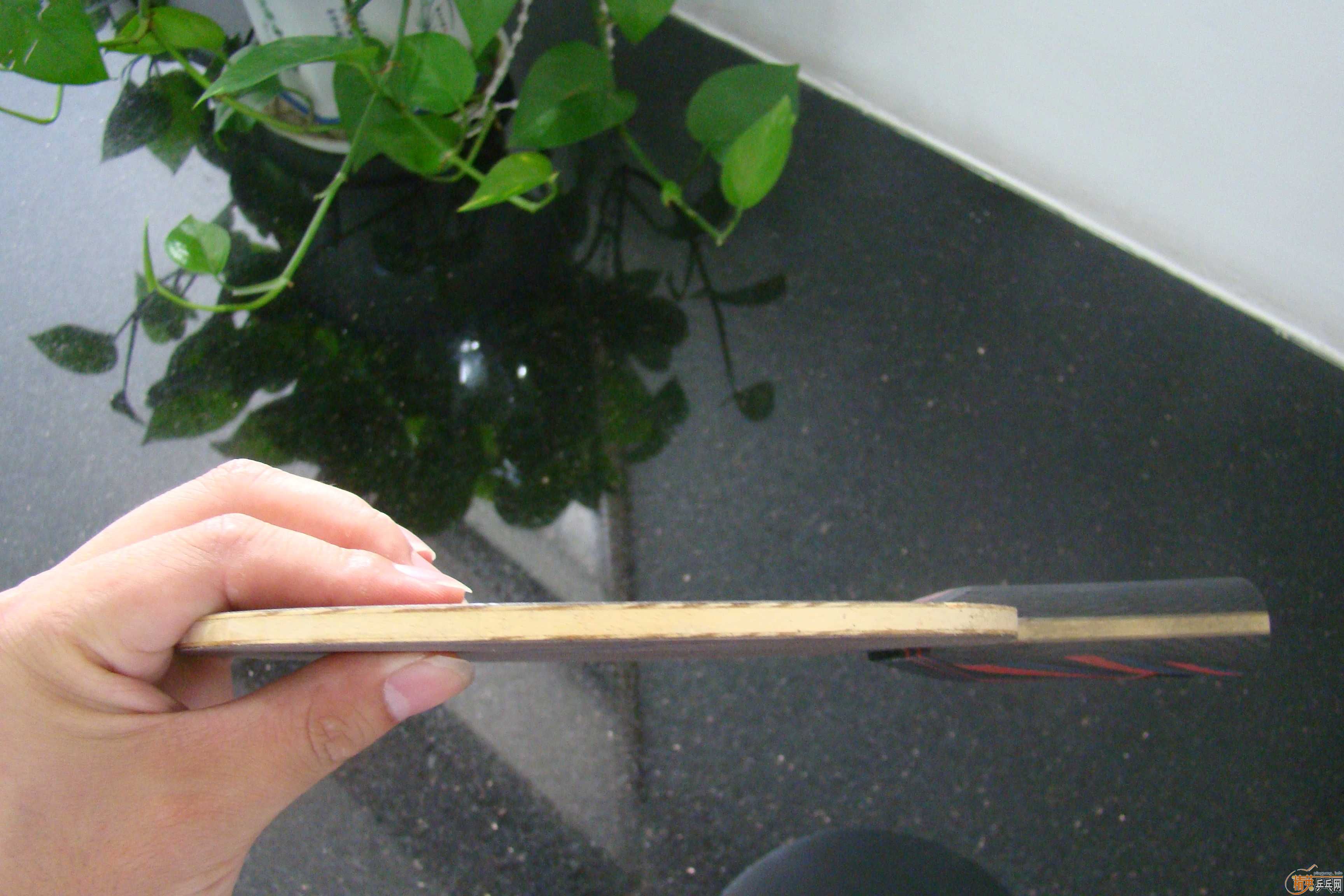 �����µ�ˮ������oc ���еĿ�����̼�� ����el��Ƥ���������켫3