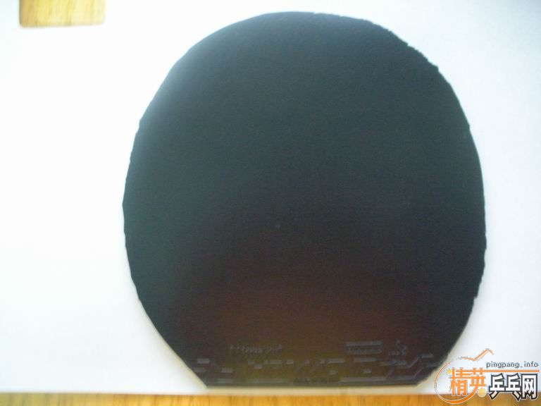 �����������ᣡ����