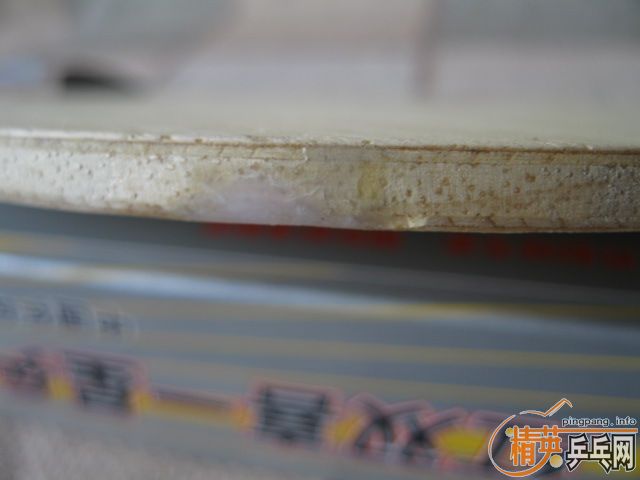 ֧�����������+����