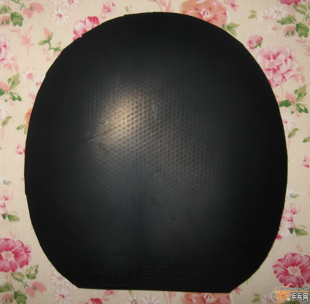 ���۳����ŵ�ϵ��NIBUS VIP,JO PLATIN, ROXON500