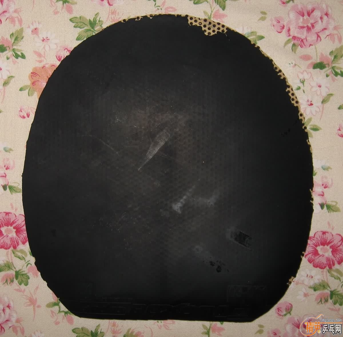 ���۳����ŵ�ϵ��NIBUS VIP,JO PLATIN, ROXON500