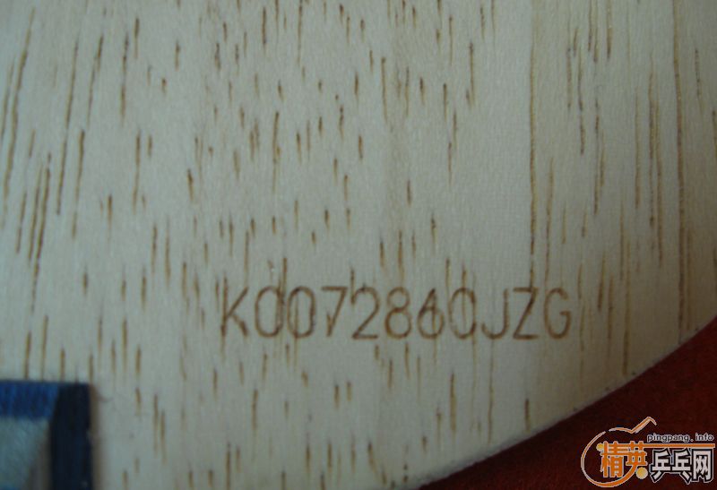 [ԭ��]��95���¿��������֧�������ף�