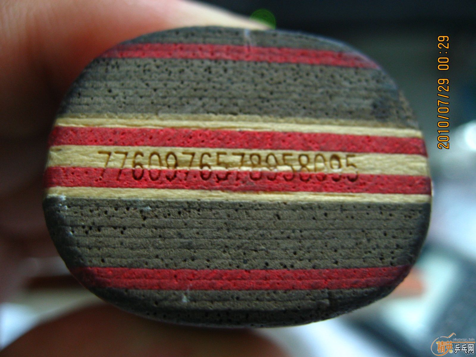 �л�CLϸ������YE