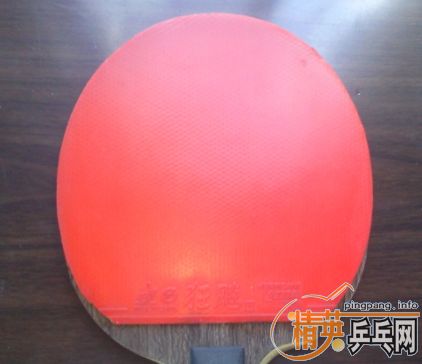 ��֧��������08�������480���ʣ�����39����ʡ��EL�����630���ʡ�