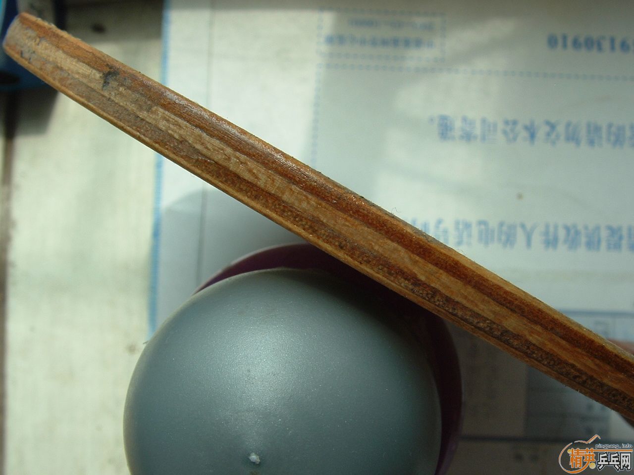 ������50�����