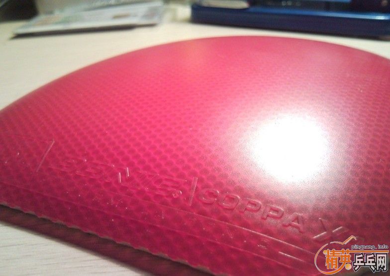 ����ɫ9.8��Donic Coppa X1 Platin