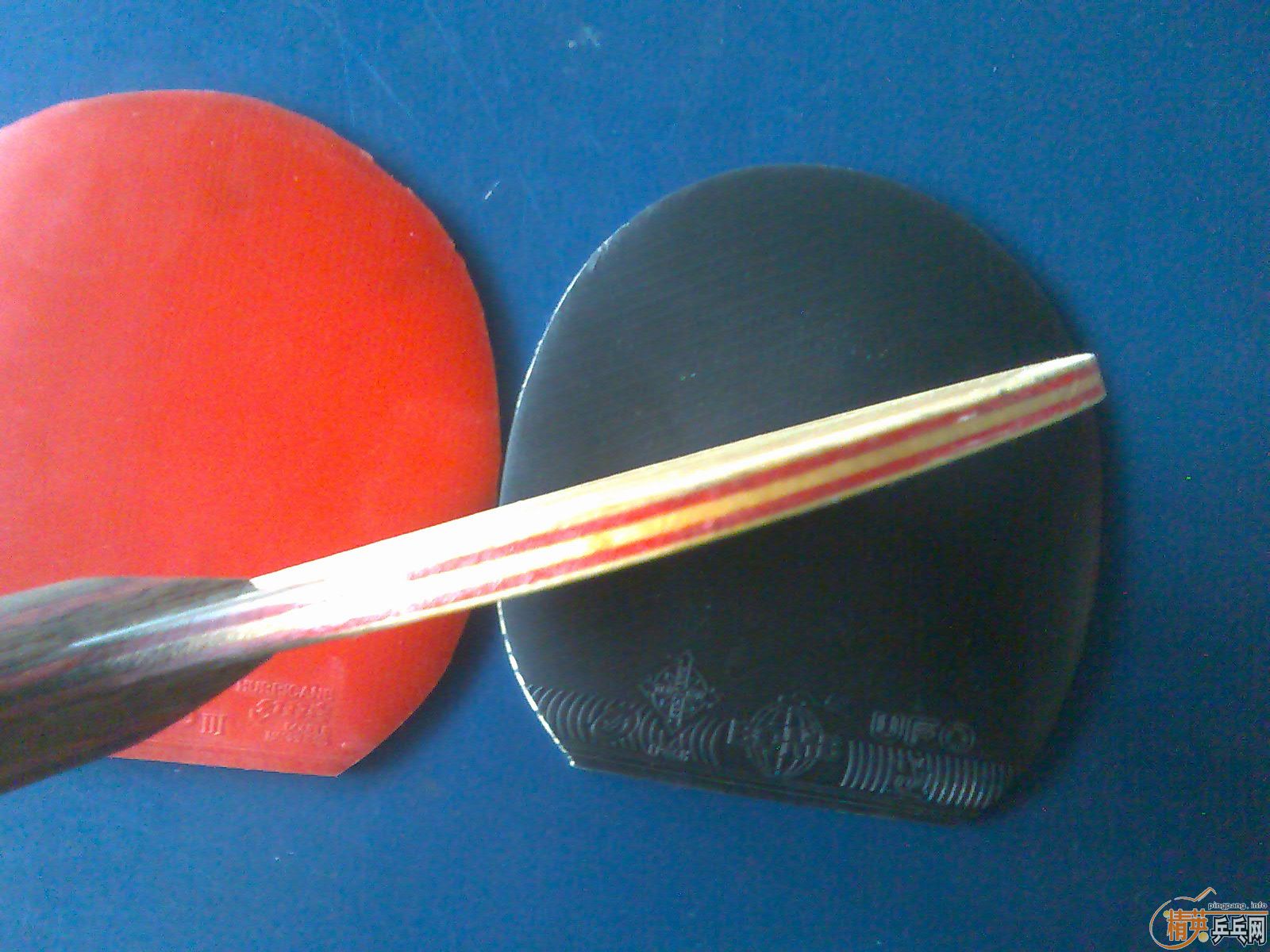 �� �����CL    fl��