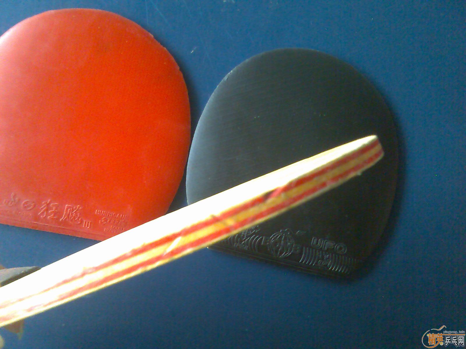 �� �����CL    fl��