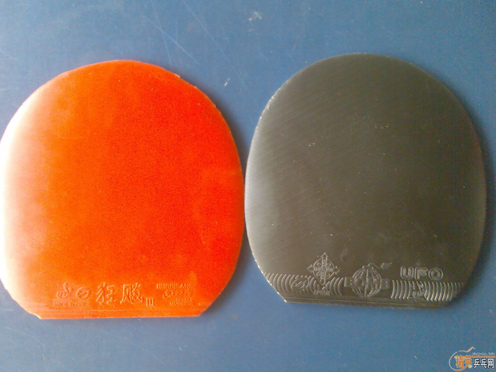 �� �����CL    fl��