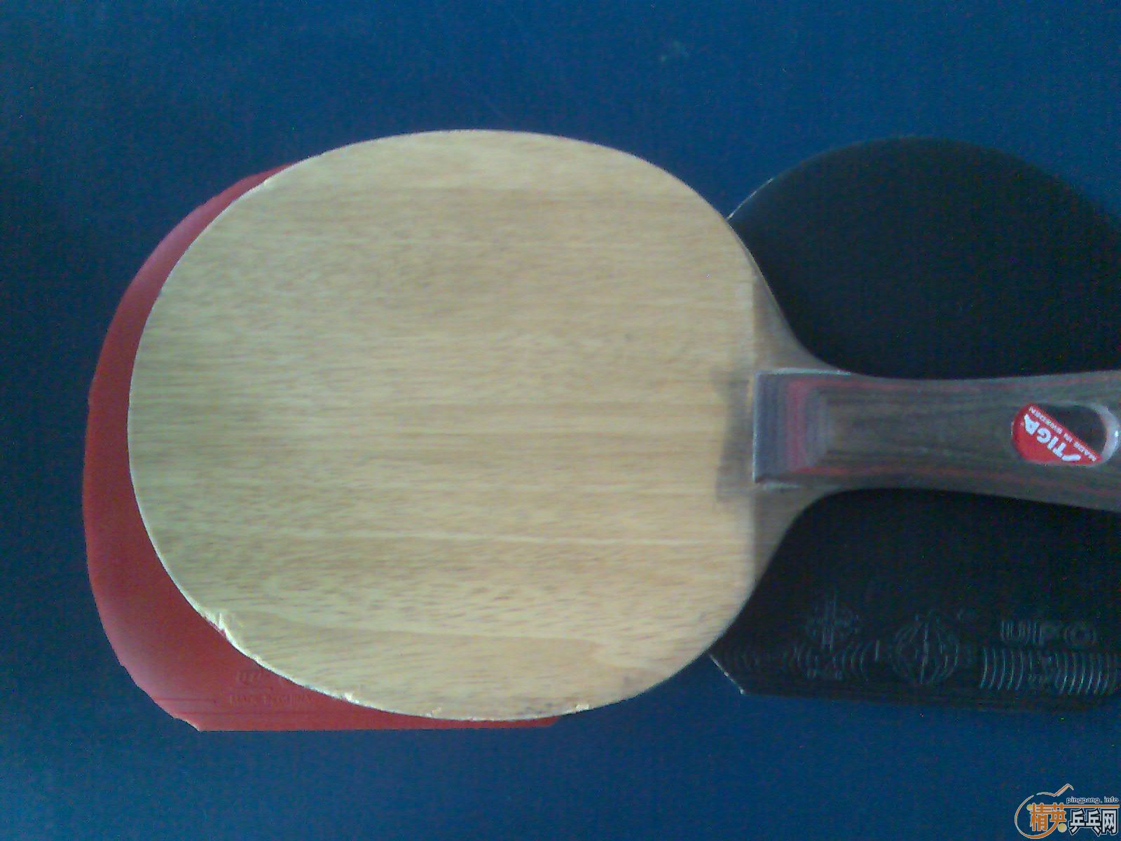 �� �����CL    fl��