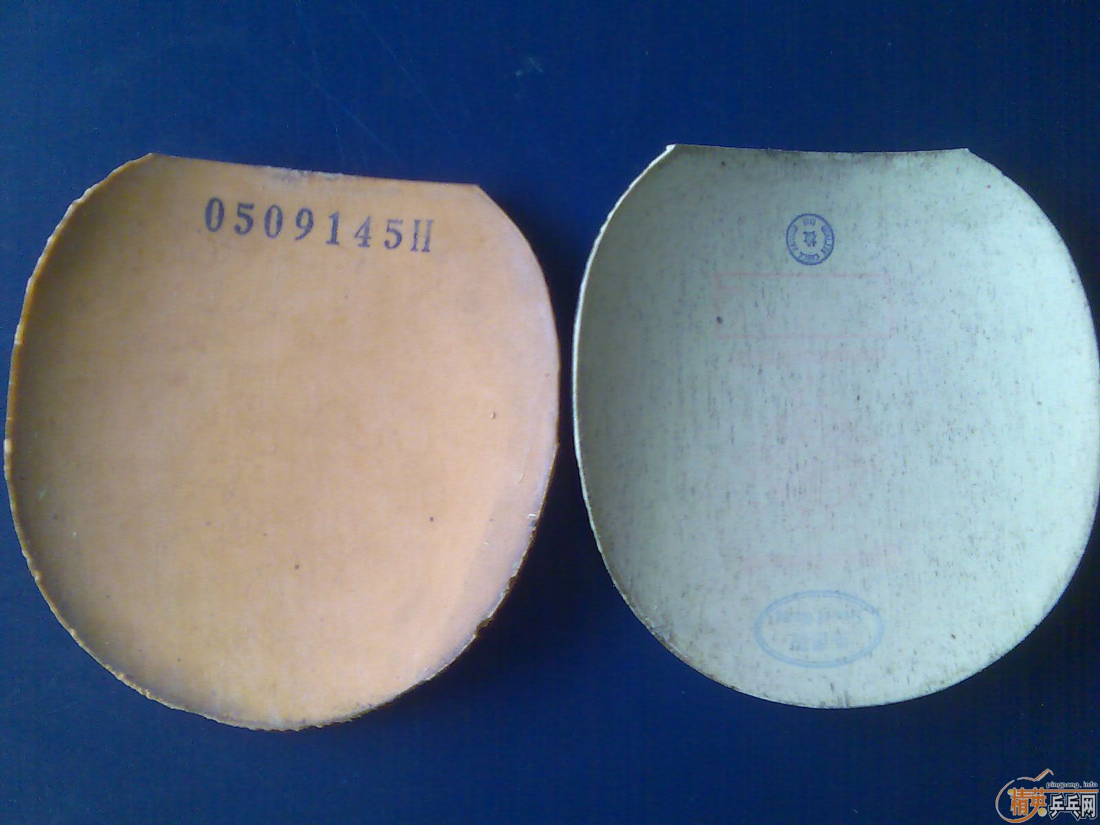 �� �����CL    fl��