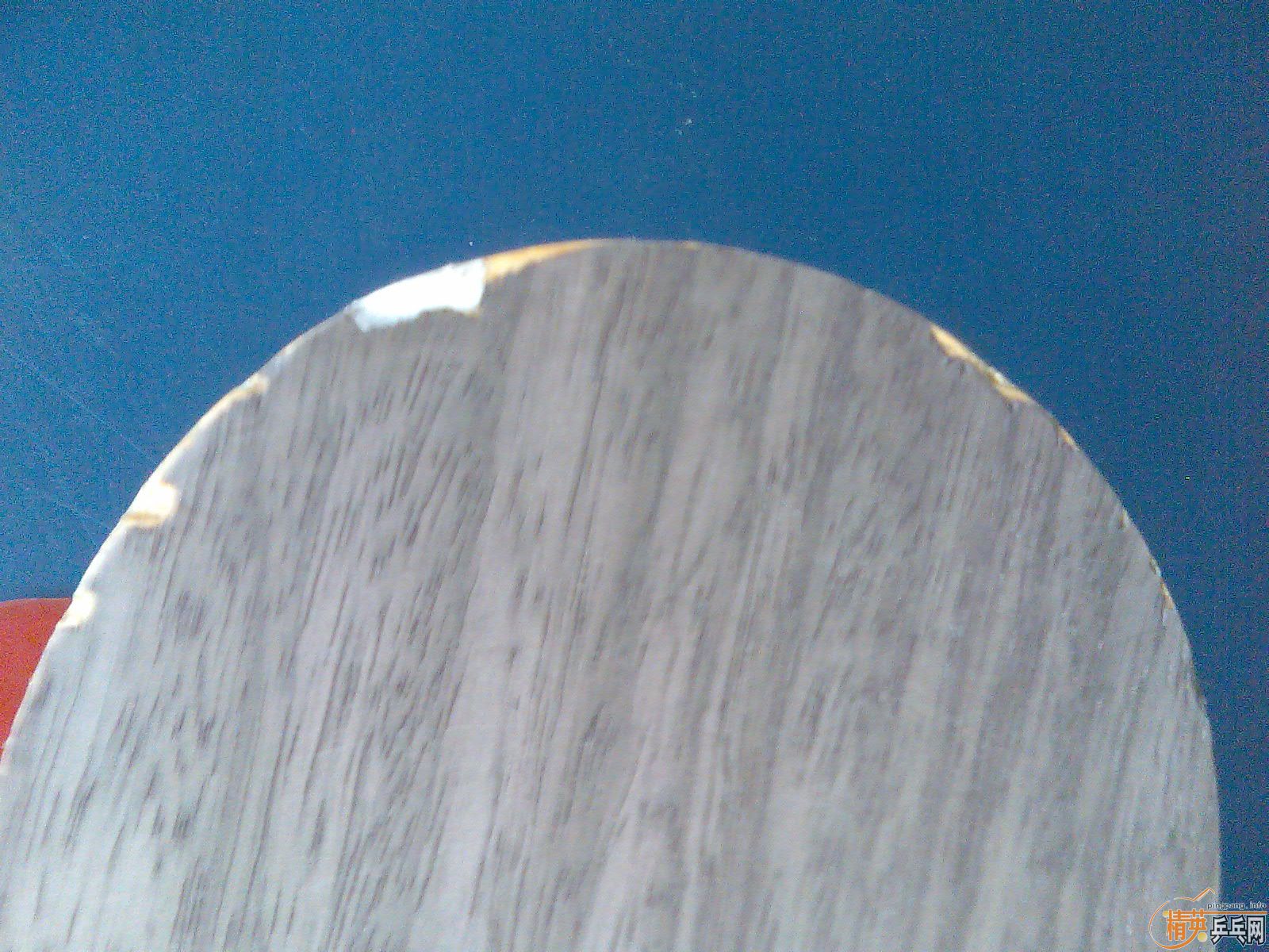 ŷ ��OC   fl��