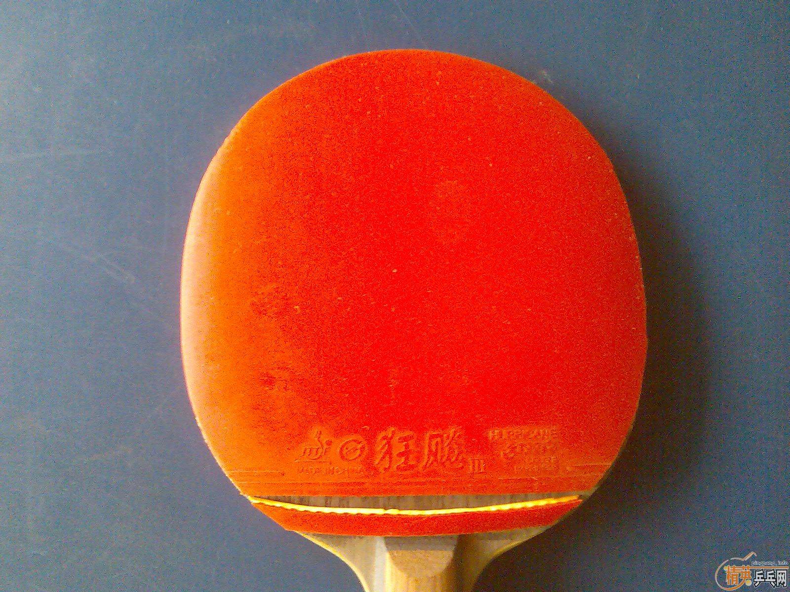 ŷ ��OC   fl��