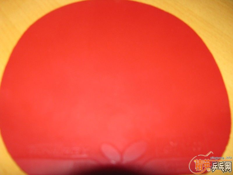 ���ۣ��򲻹߳������T05 ��ɫ��