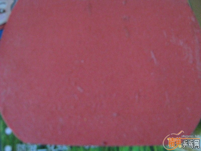 ���ۣ��򲻹߳������T05 ��ɫ��