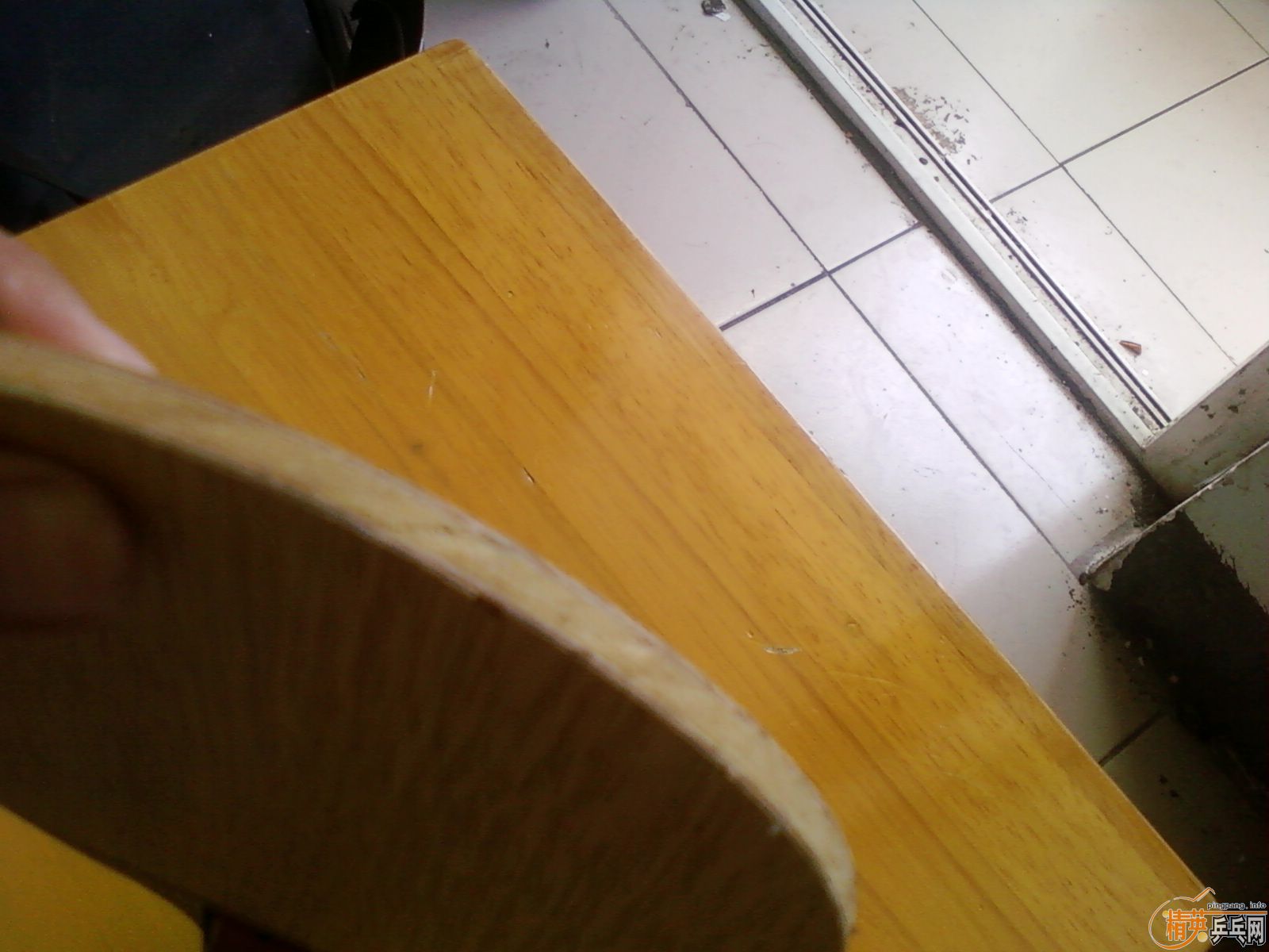 ��8.5������E3��9.5�º�˫ϲƹ������