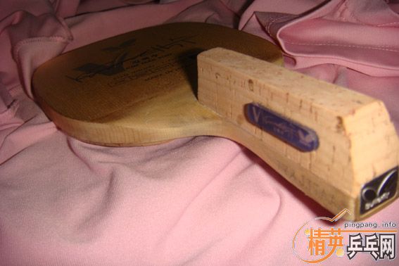 97�˽���� ��Ѫ��430MAX  ��ά������ ��EMS