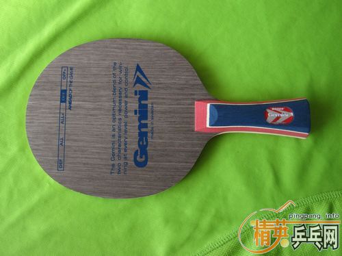 �������˫����-Gemini