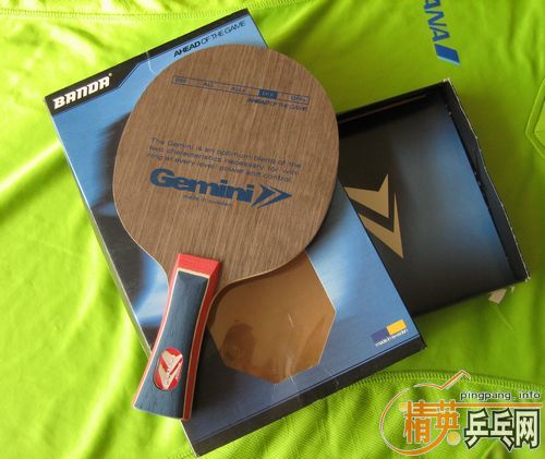 �������˫����-Gemini