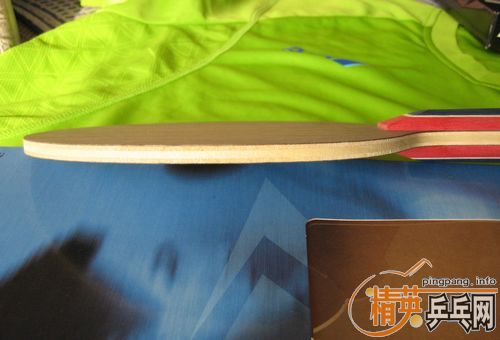 �������˫����-Gemini