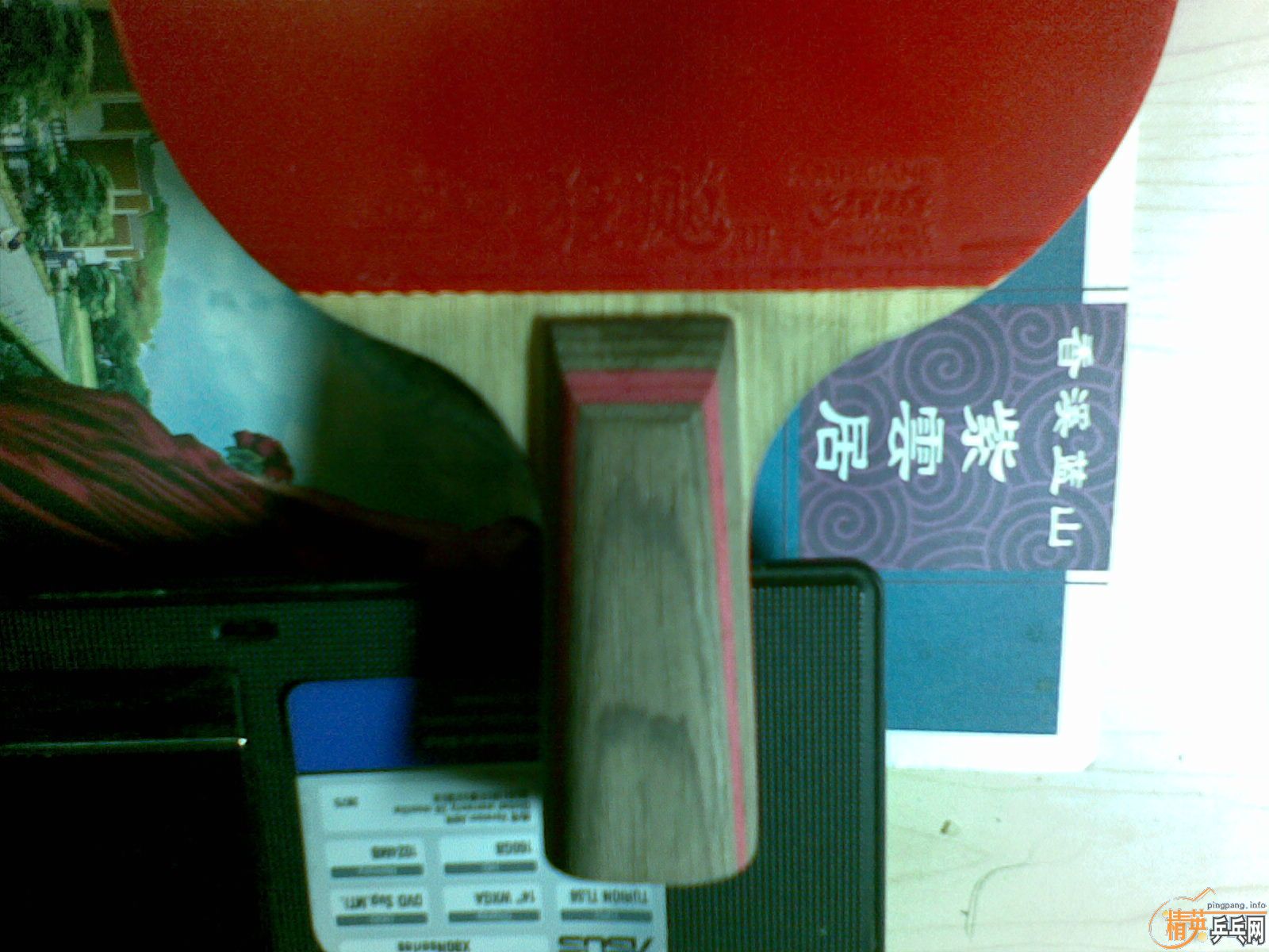 鴿CL