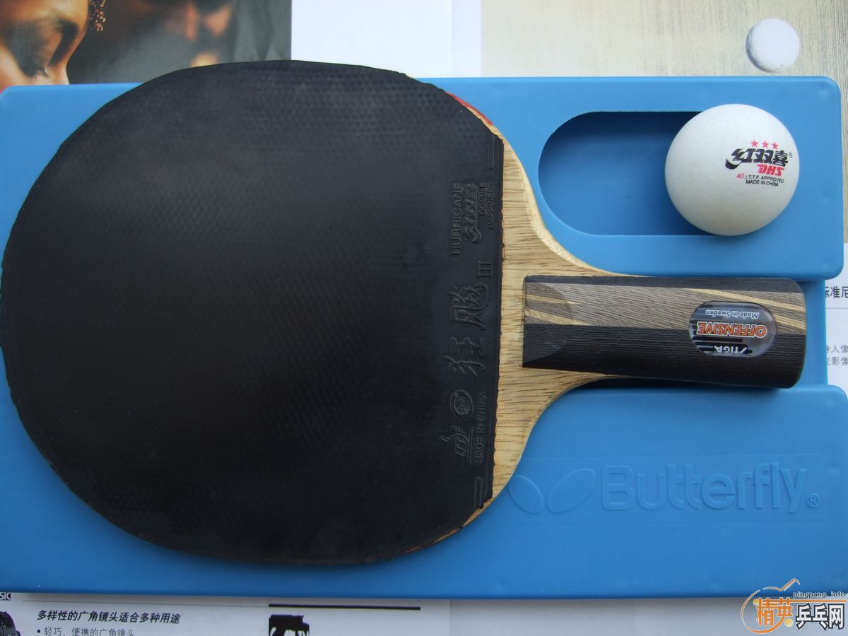 ֧����������ֱ�����ƺ�������ŵ���˹�ٿ�TO���ɳ��ɻ�����û�����Ѹ���Ȥ��