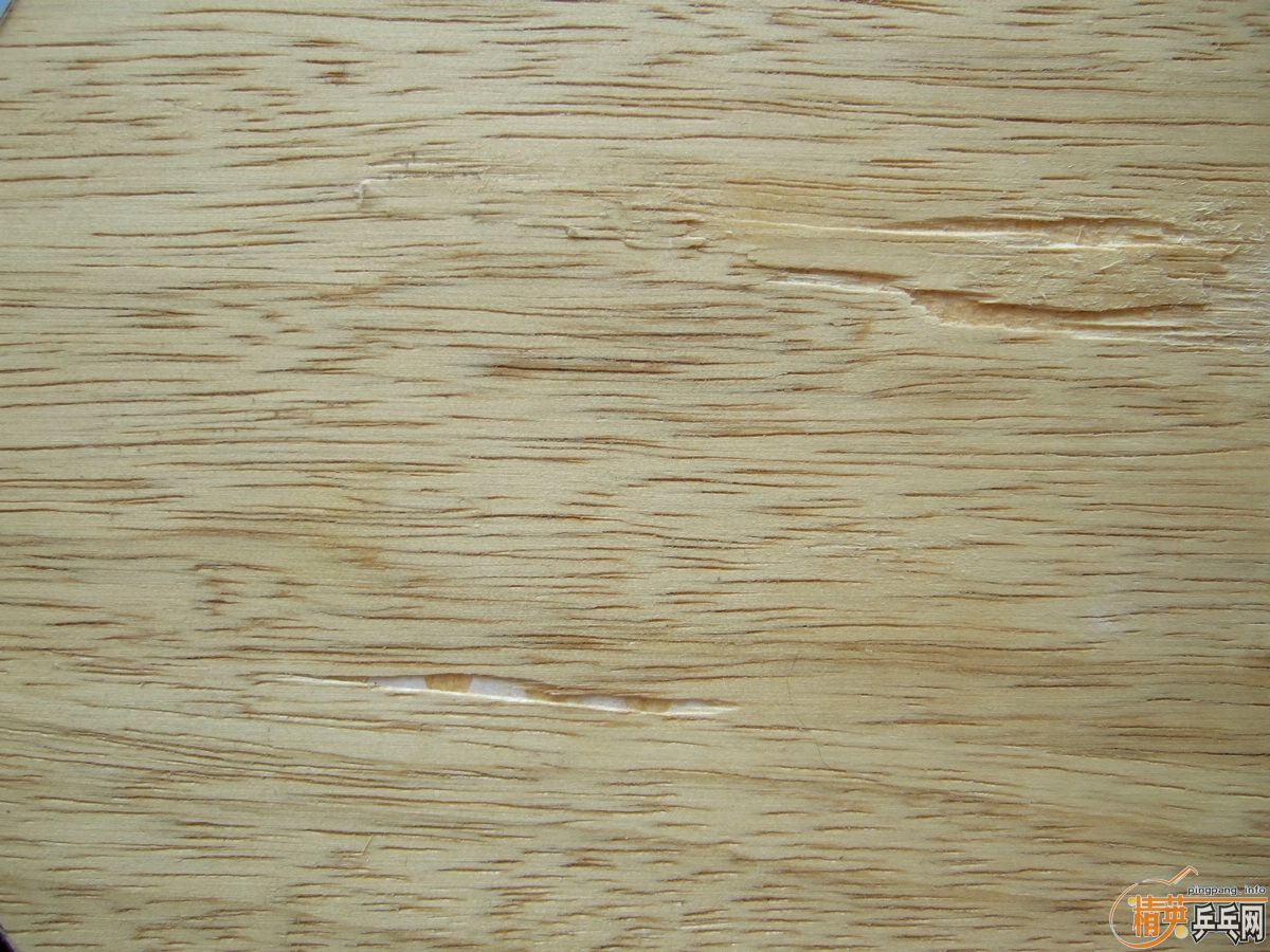 ֧����������ֱ�����ƺ�������ŵ���˹�ٿ�TO���ɳ��ɻ�����û�����Ѹ���Ȥ��