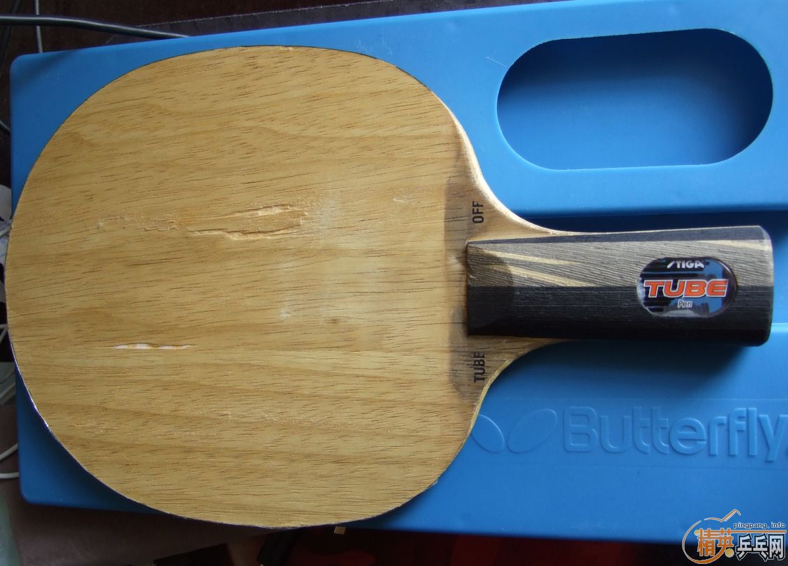 ֧����������ֱ�����ƺ�������ŵ���˹�ٿ�TO���ɳ��ɻ�����û�����Ѹ���Ȥ��