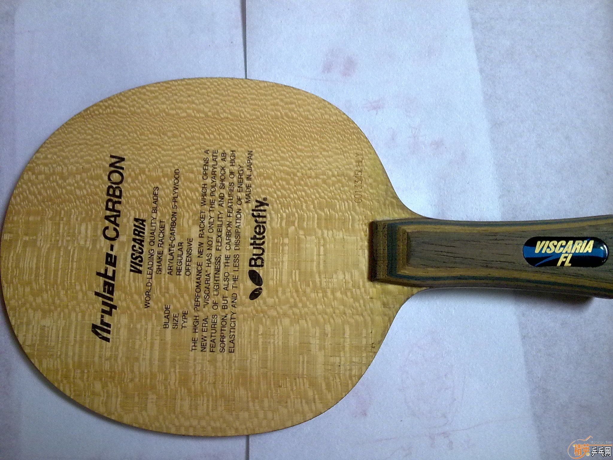 9.5����viscaria ����