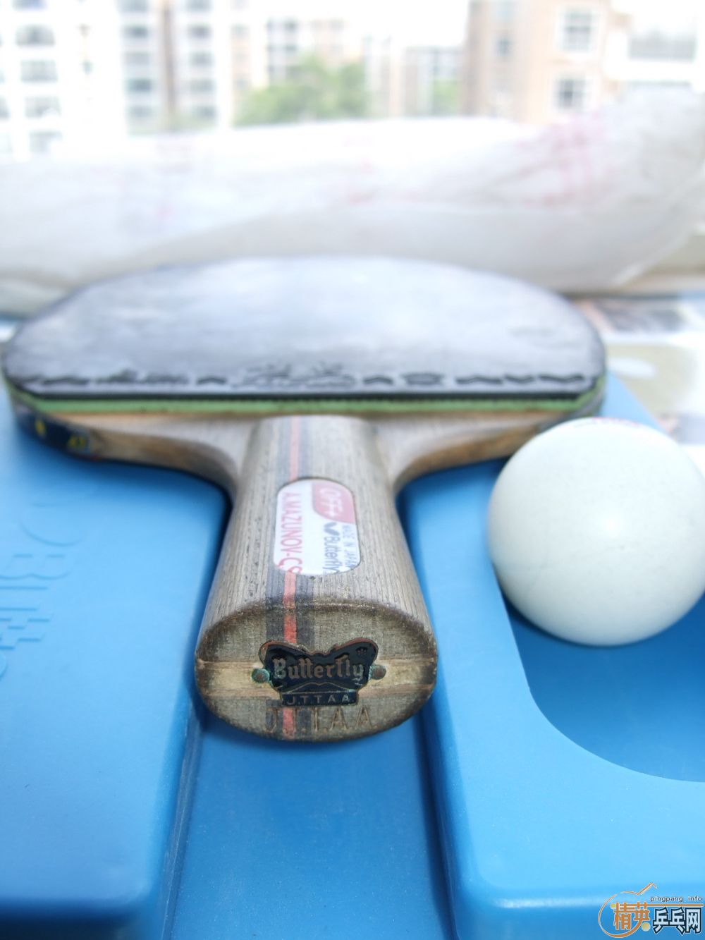 ֧����������ֱ�����ƺ�������ŵ���˹�ٿ�TO���ɳ��ɻ�����û�����Ѹ���Ȥ��