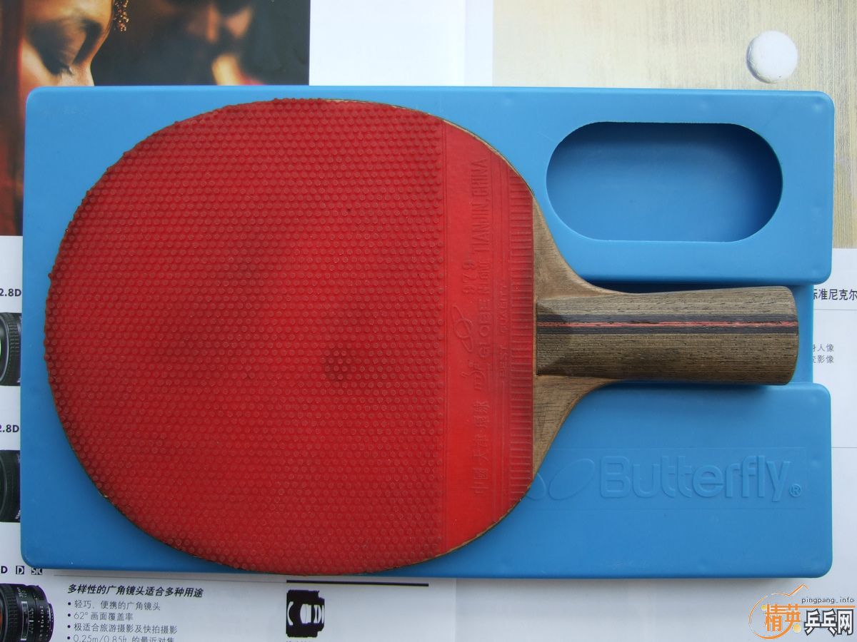 ֧����������ֱ�����ƺ�������ŵ���˹�ٿ�TO���ɳ��ɻ�����û�����Ѹ���Ȥ��