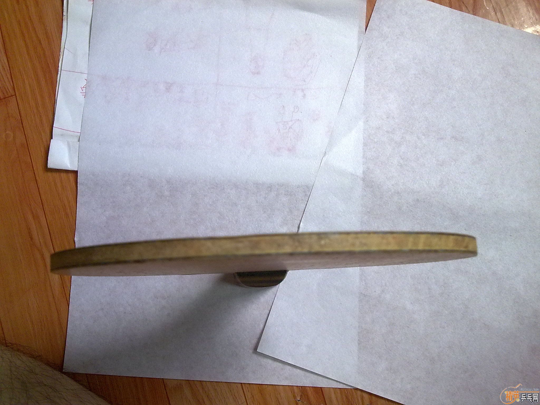 9.5����viscaria ����