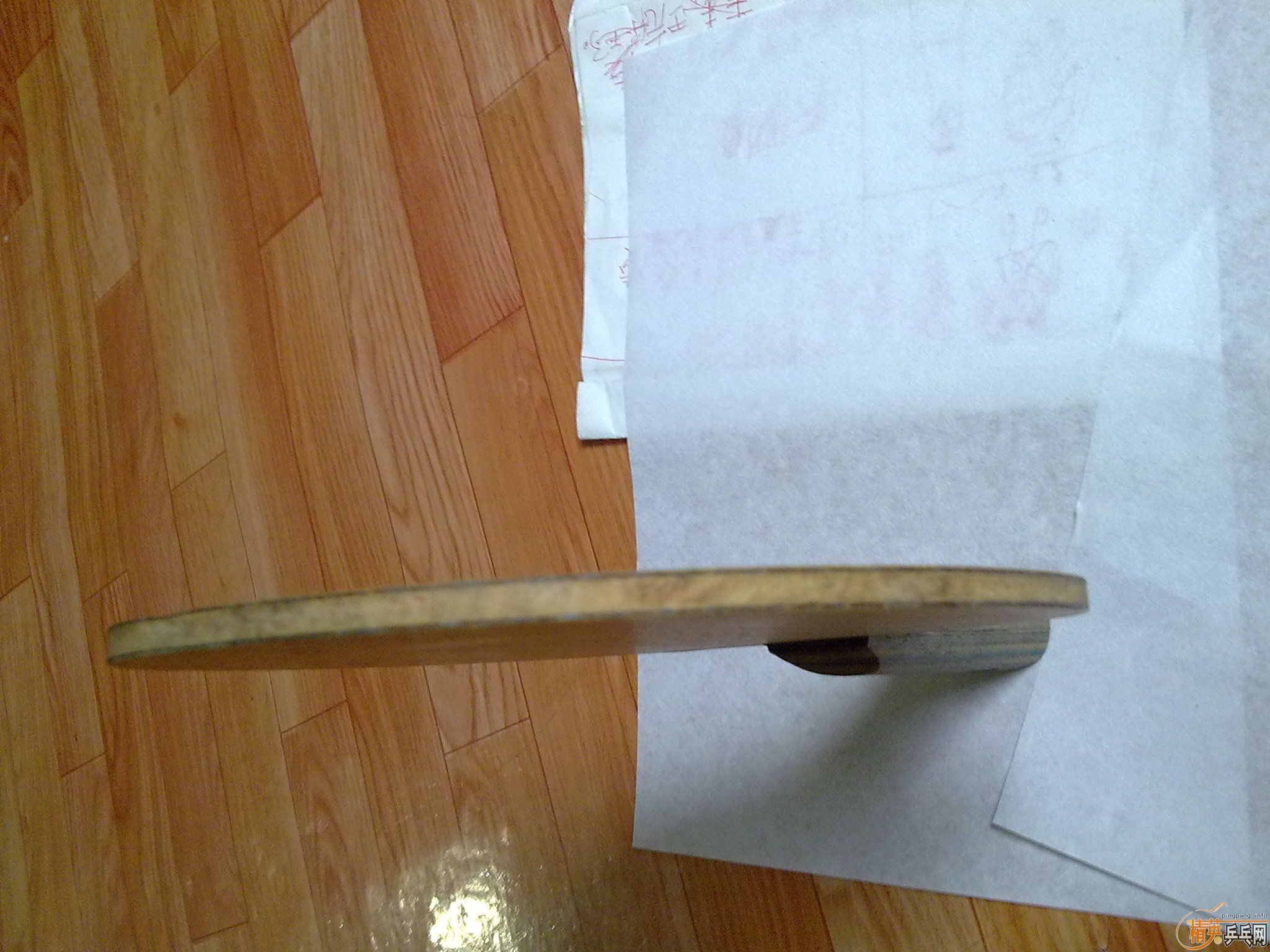 9.5����viscaria ����