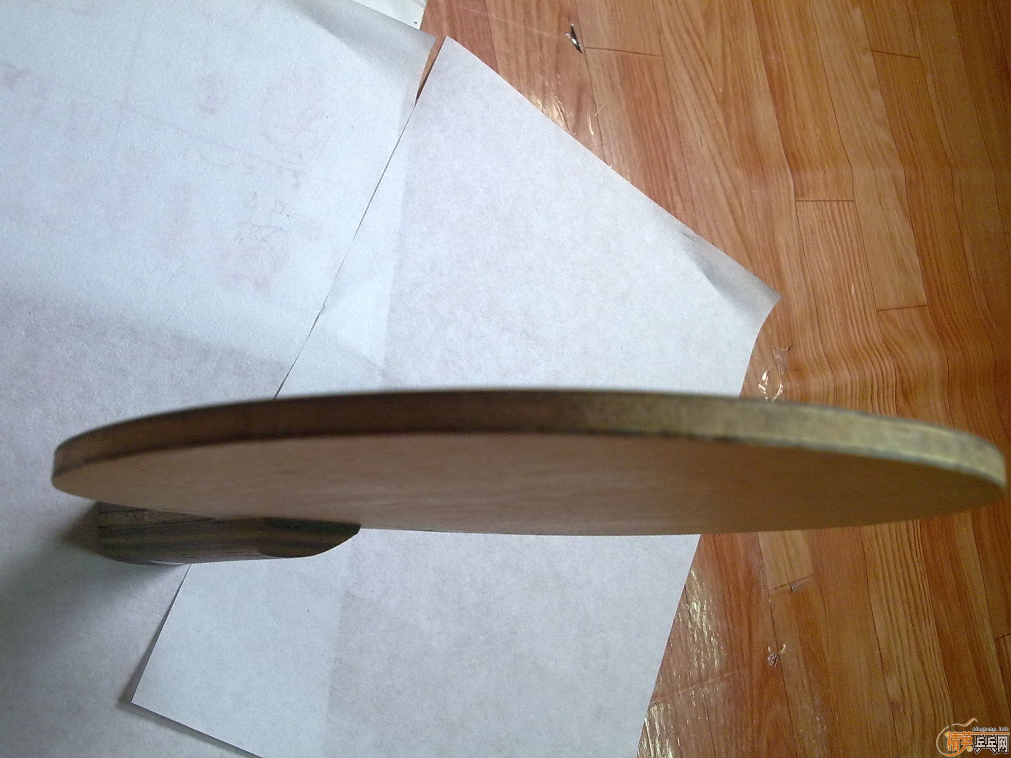 9.5����viscaria ����