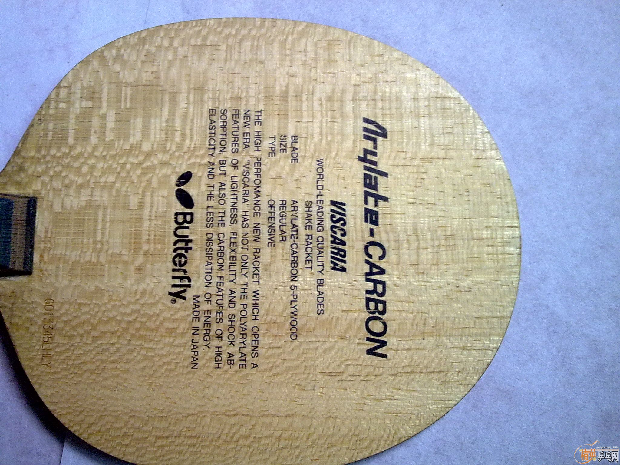 9.5����viscaria ����