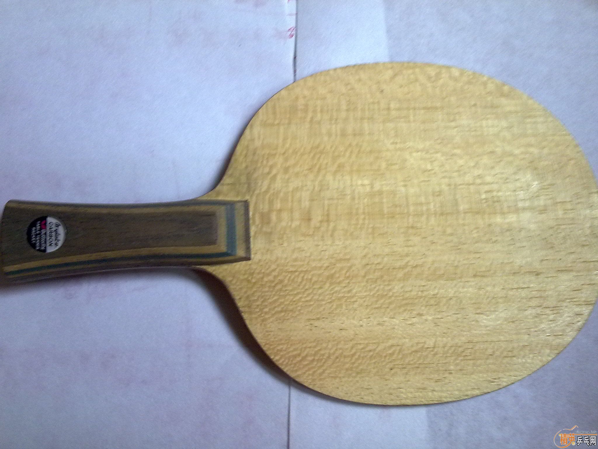 9.5����viscaria ����