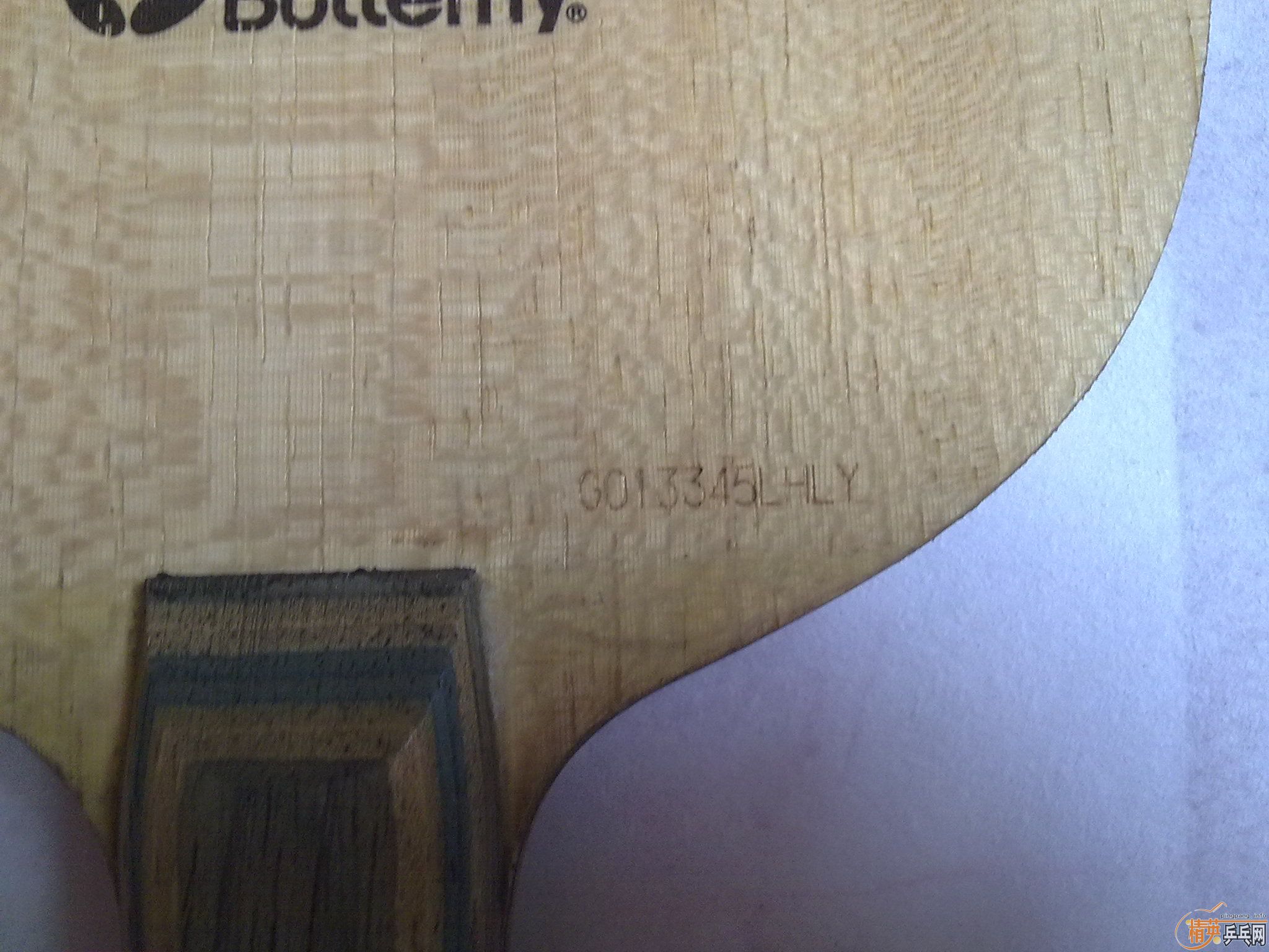 9.5����viscaria ����