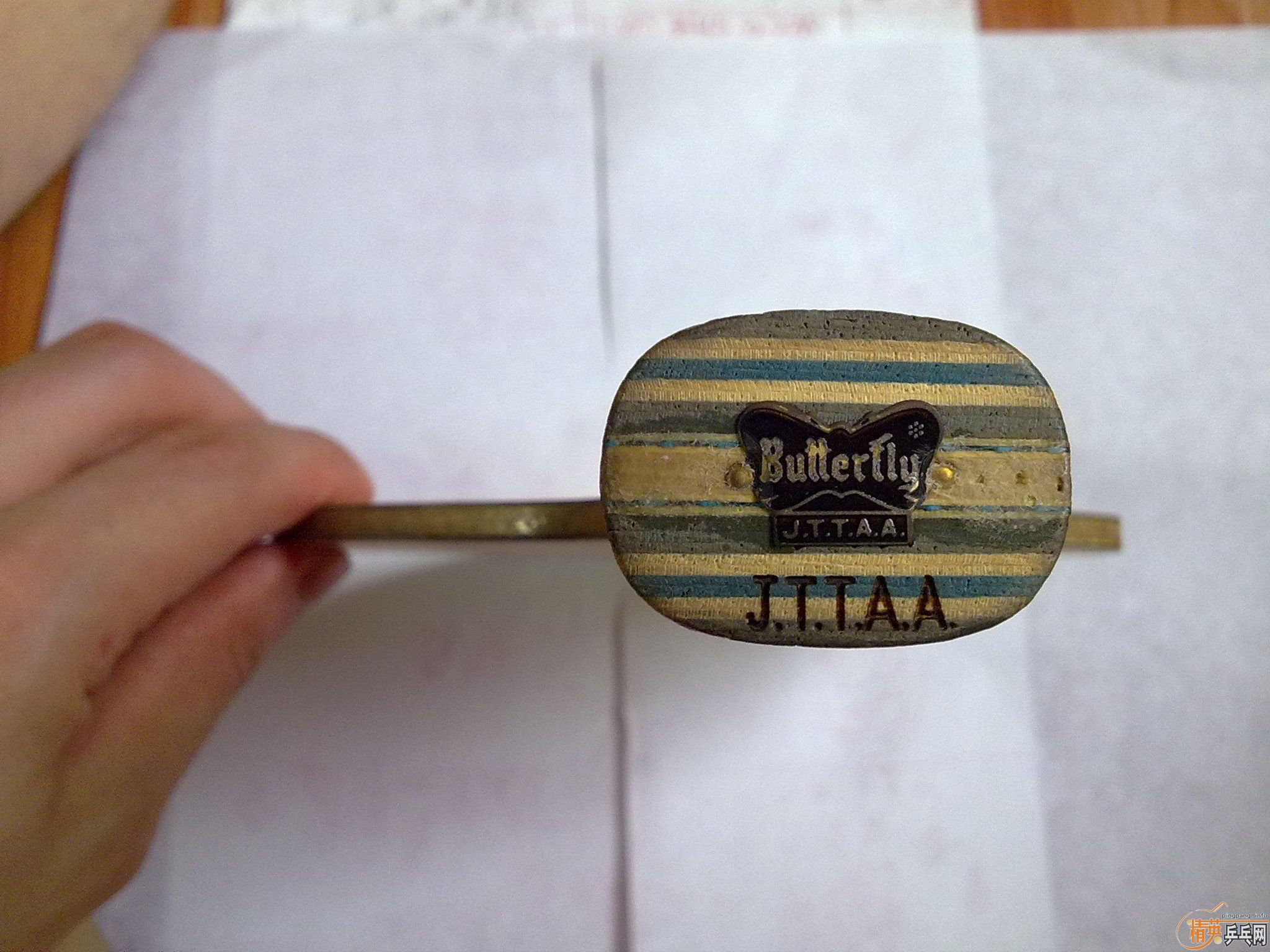 9.5����viscaria ����