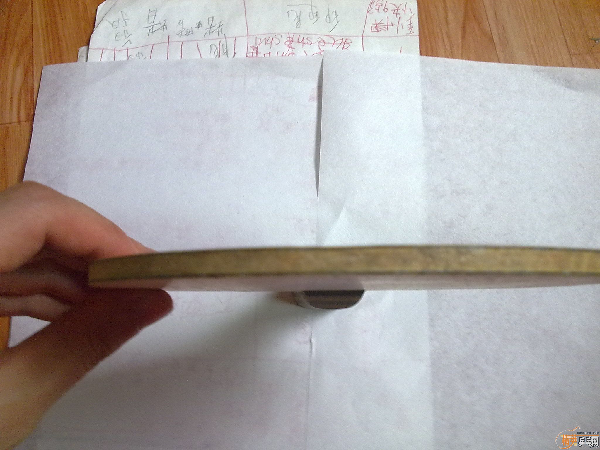 9.5����viscaria ����