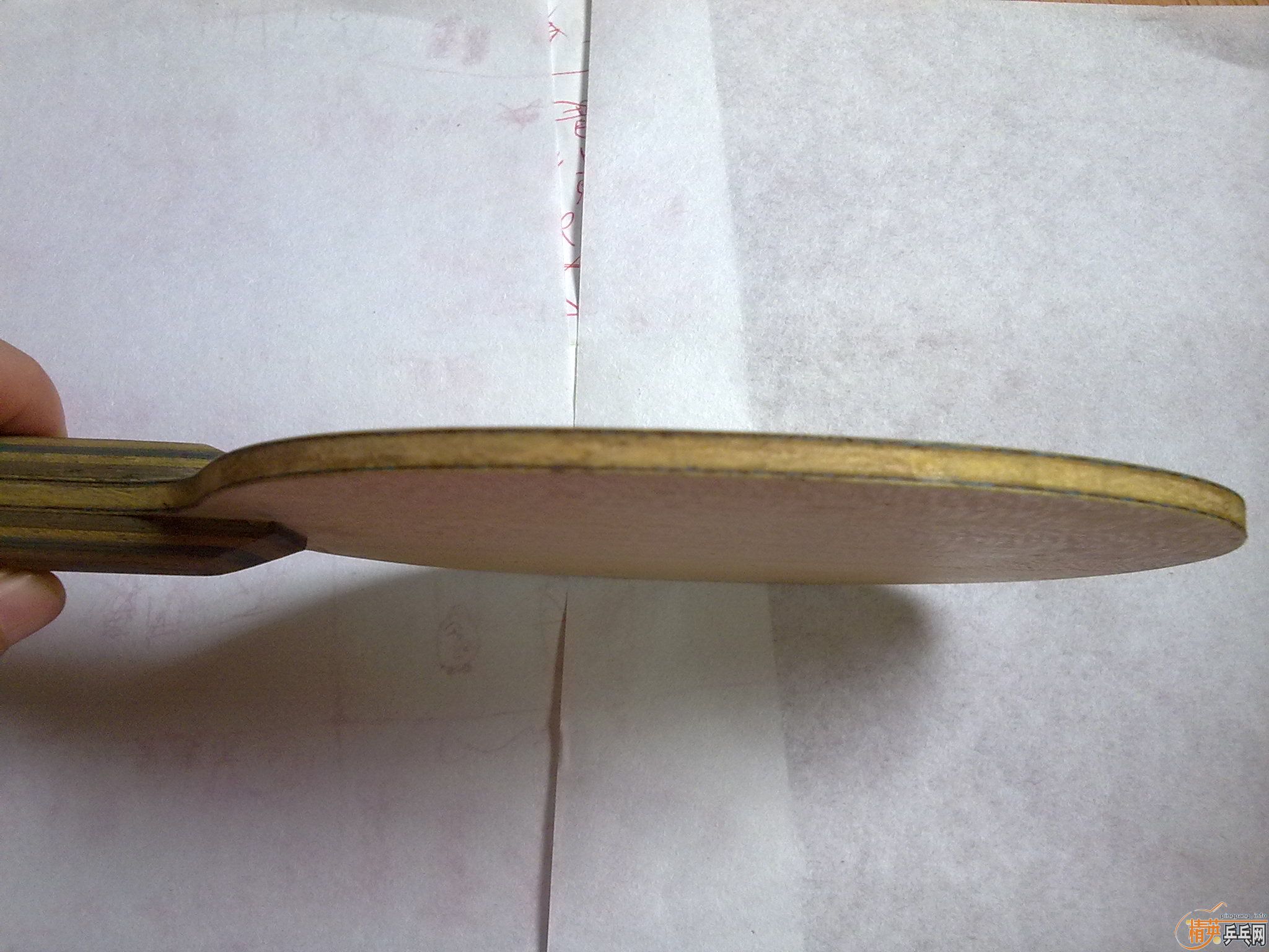 9.5����viscaria ����