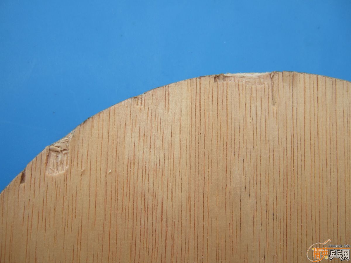 ֧����������ֱ�����ƺ�������ŵ���˹�ٿ�TO���ɳ��ɻ�����û�����Ѹ���Ȥ��