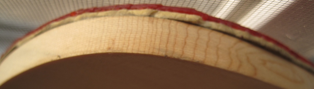 CYPRESS 10MM �� ���ֽ��ģ��Ƚ�Ӳ