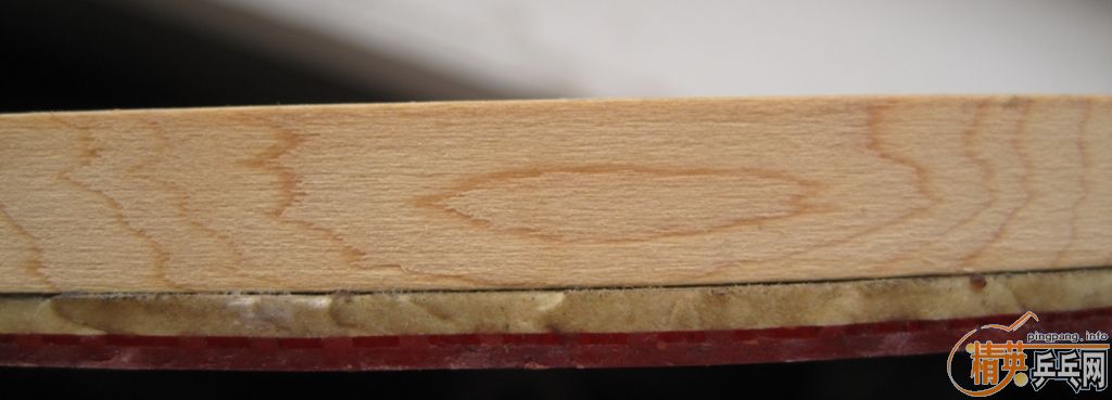 CYPRESS 10MM �� ���ֽ��ģ��Ƚ�Ӳ